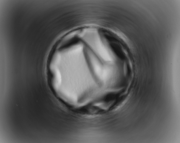 X0000089741240200707121501