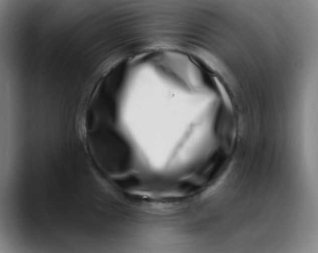 X0000089741241200707121501