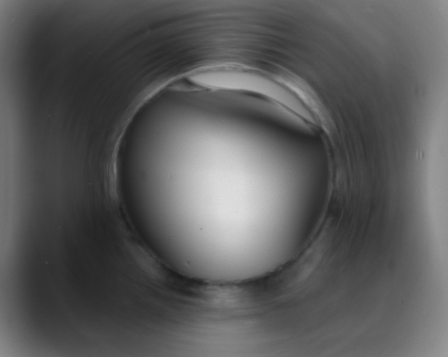 X0000089741242200707121501