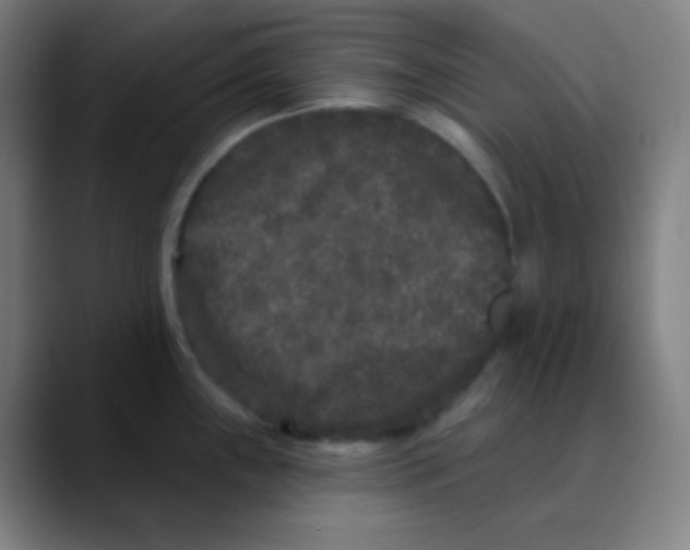 X0000089741243200707121501