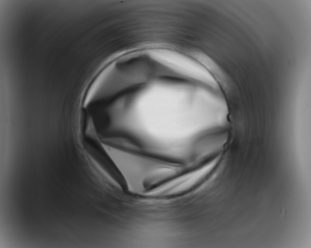 X0000089741244200707121501