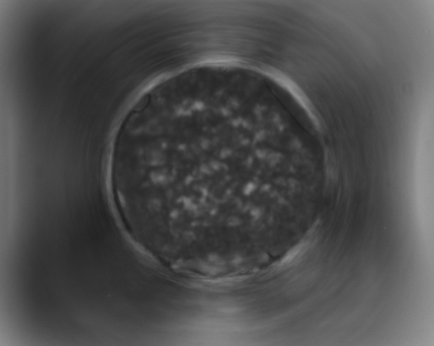 X0000089741245200707121501