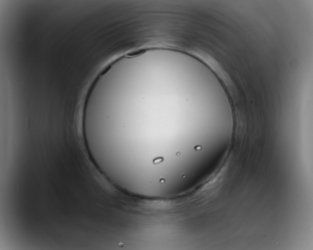 X0000089741246200707121501