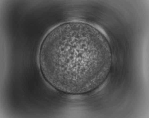 X0000089741247200707121501