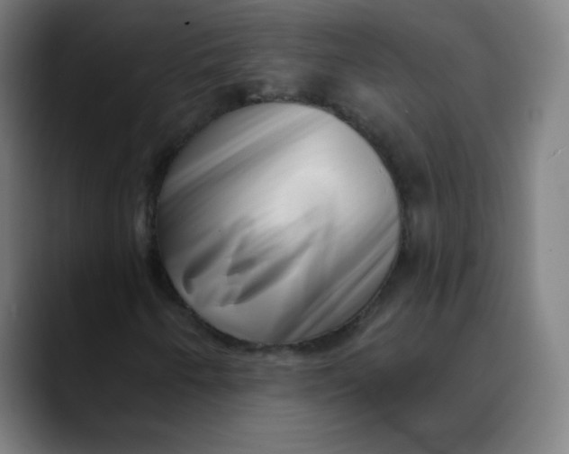 X0000089741250200707121501