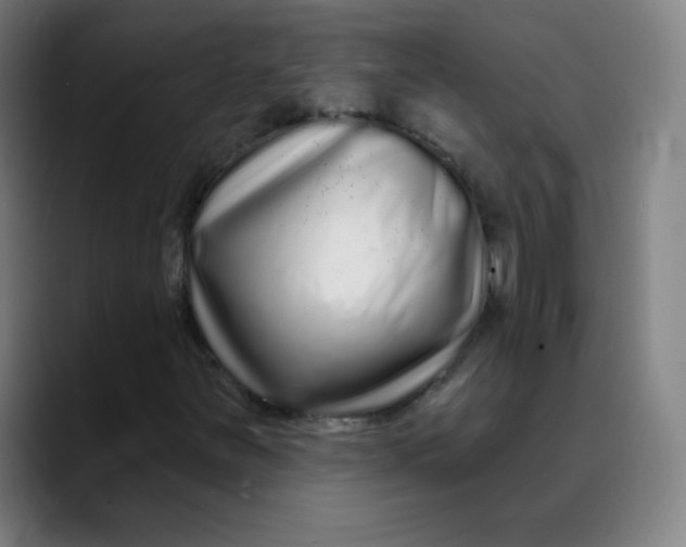 X0000089741251200707121501