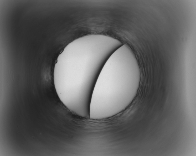 X0000089741252200707121501