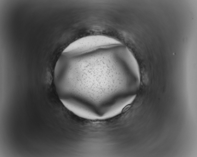 X0000089741253200707121501