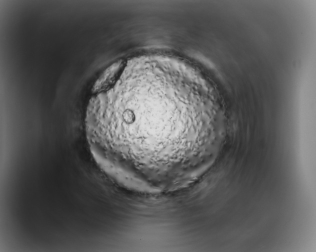 X0000089741255200707121501