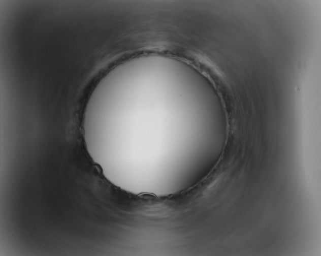 X0000089741256200707121501