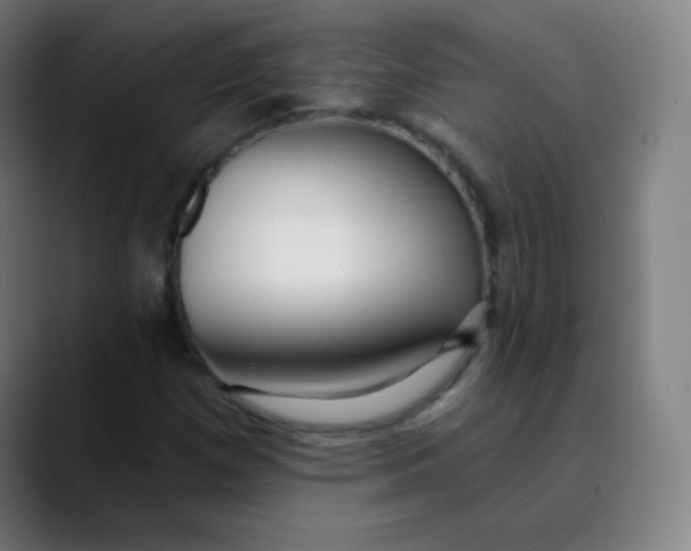 X0000089741257200707121501