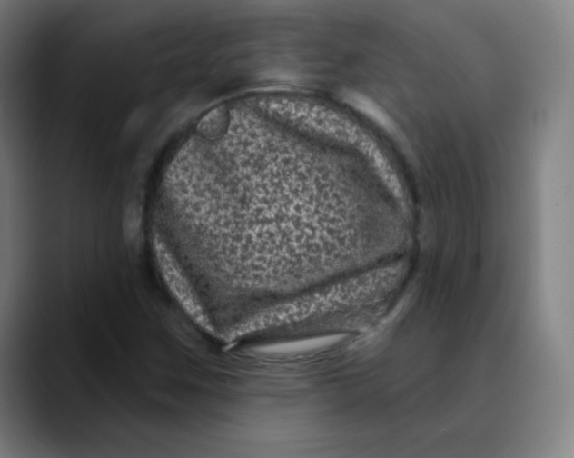 X0000089741259200707121501