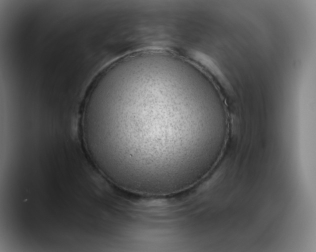 X0000089741260200707121501