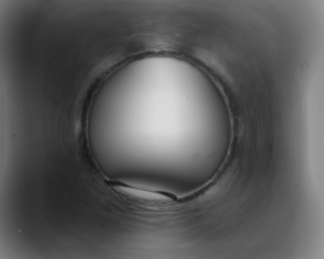 X0000089741261200707121501