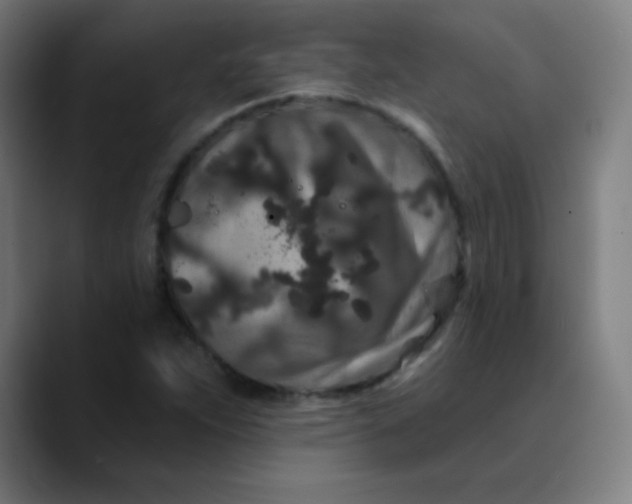 X0000089741263200707121501