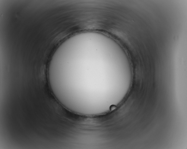 X0000089741265200707121501