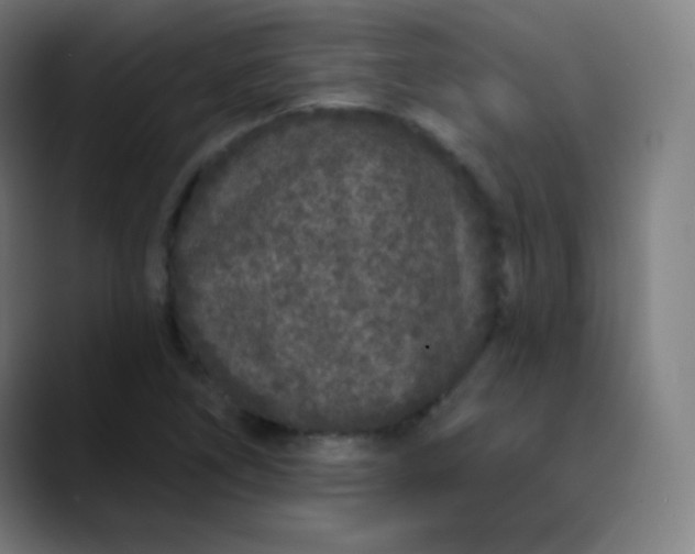 X0000089741266200707121501