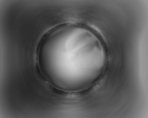 X0000089741267200707121501