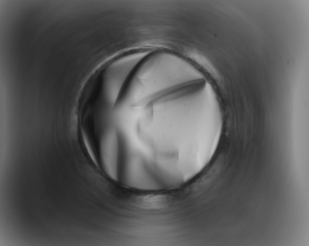 X0000089741268200707121501