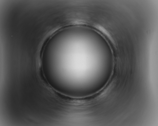 X0000089741269200707121501