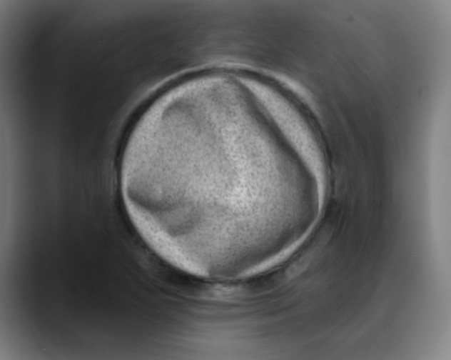 X0000089741271200707121501