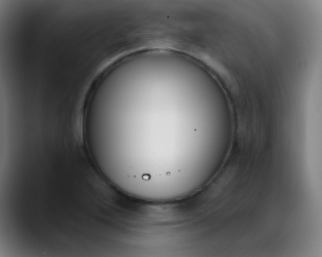 X0000089741272200707121501