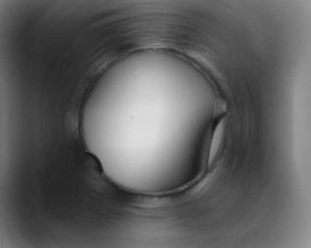 X0000089741273200707121501