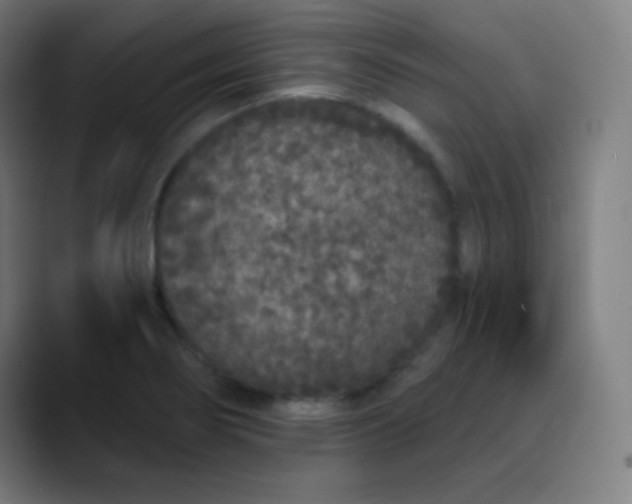 X0000089741274200707121501