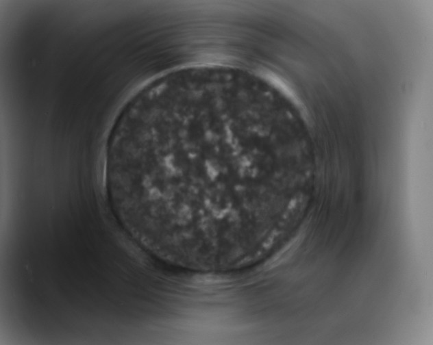 X0000089741275200707121501