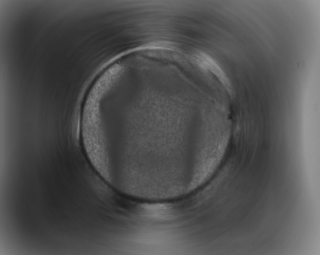 X0000089741276200707121501