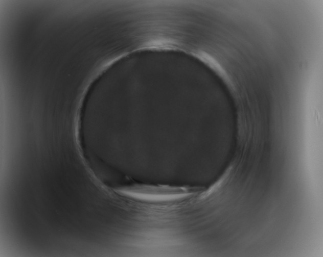 X0000089741277200707121501