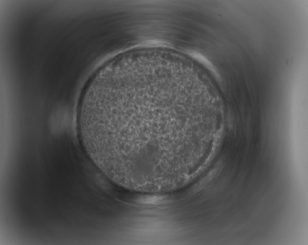 X0000089741278200707121501