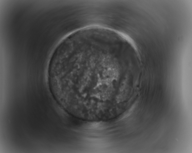 X0000089741279200707121501