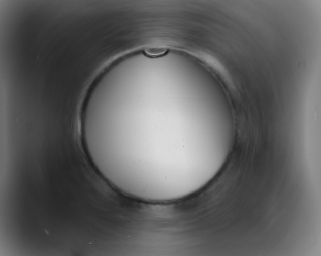 X0000089741280200707121500