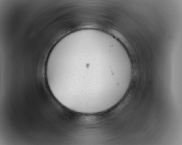 X0000089741282200707121500