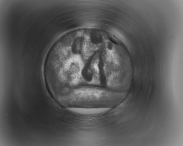 X0000089741283200707121500