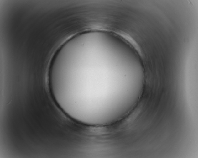 X0000089741285200707121500