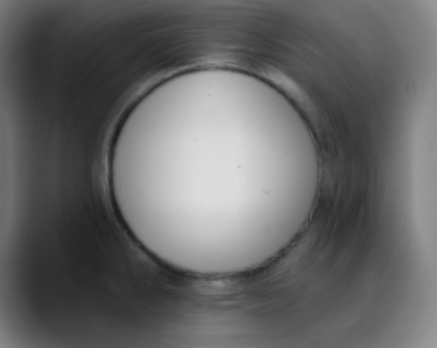 X0000089741286200707121500