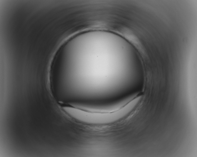 X0000089741288200707121500