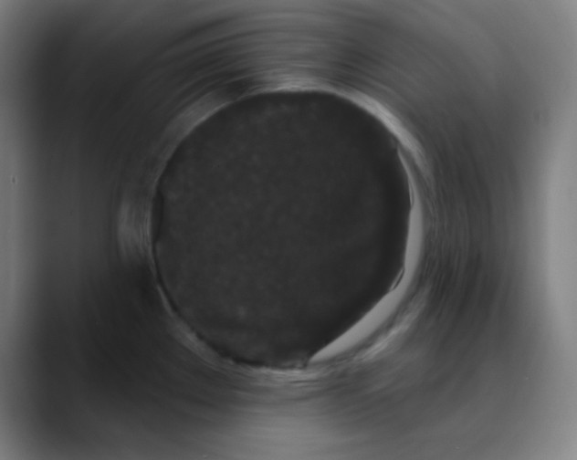 X0000089741289200707121500