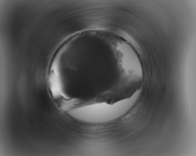 X0000089741291200707121500