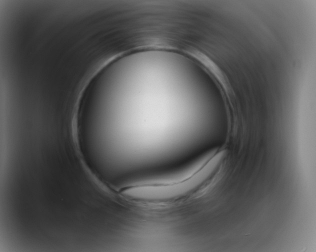 X0000089741293200707121500