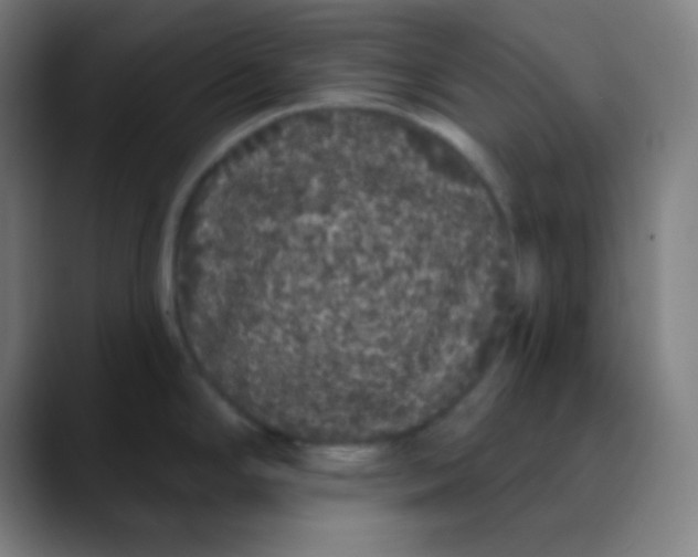 X0000089741294200707121500