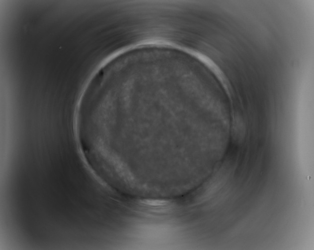 X0000089741295200707121500