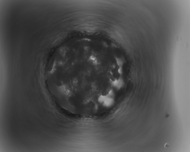 X0000089741297200707121500