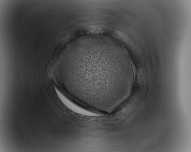 X0000089741298200707121500