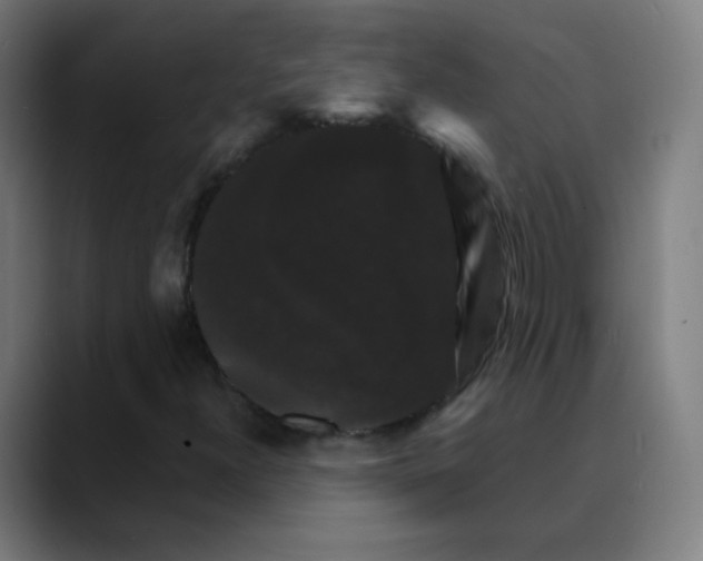 X0000089741300200707121500