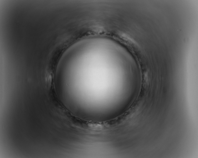 X0000089741302200707121500