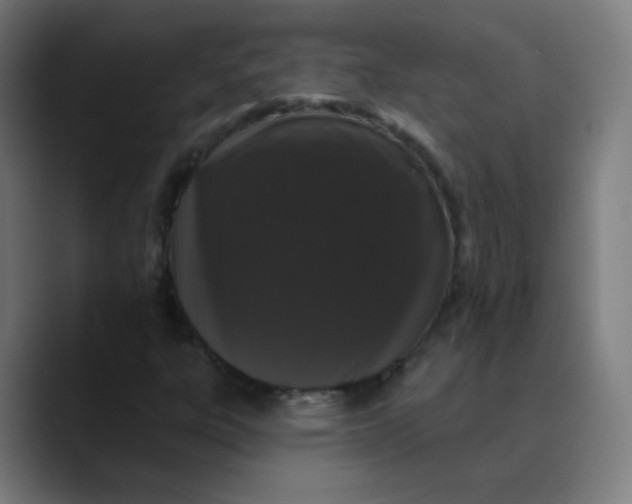 X0000089741303200707121500