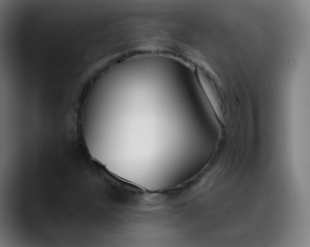 X0000089741304200707121500